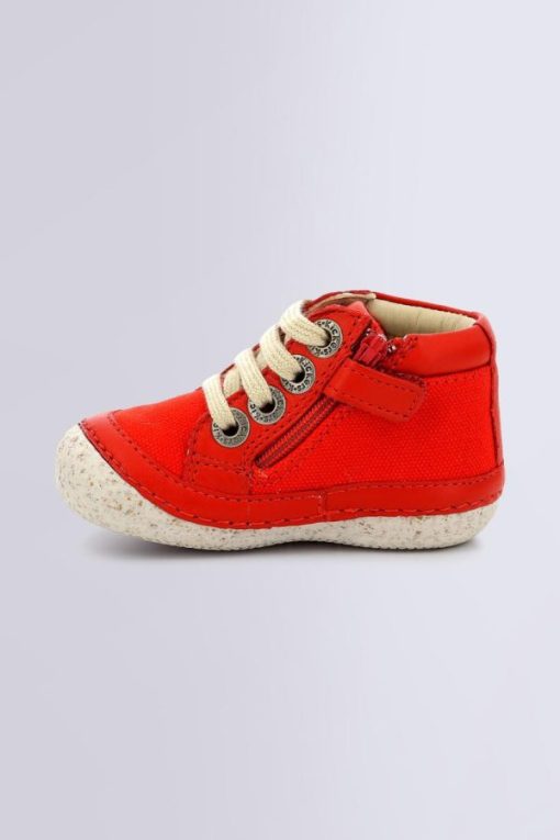 Ordercraze.shop1d26406b0d 3