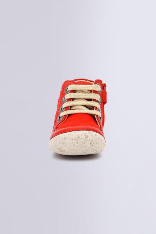 Ordercraze.shop1d26406b0d 4