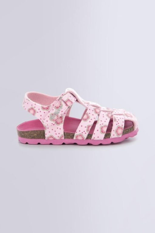 Ordercraze.shop2025b79106 2