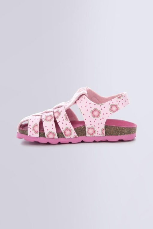 Ordercraze.shop2025b79106 3