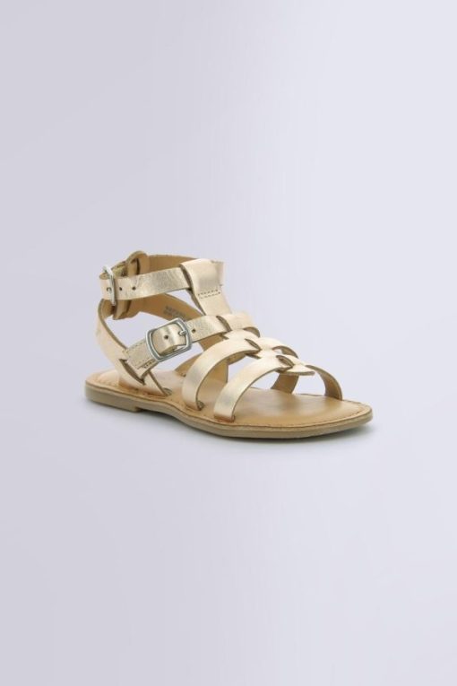 Ordercraze.shop207a471749 1