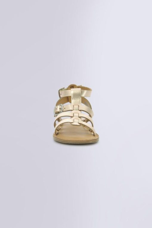 Ordercraze.shop207a471749 4