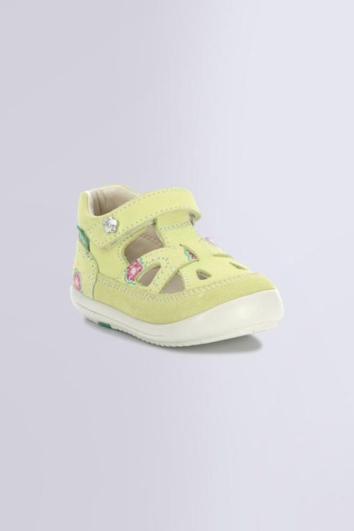Ordercraze.shop2250249c88 1