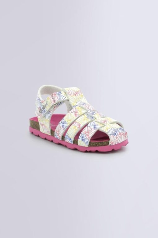 Ordercraze.shop227d13b568 1