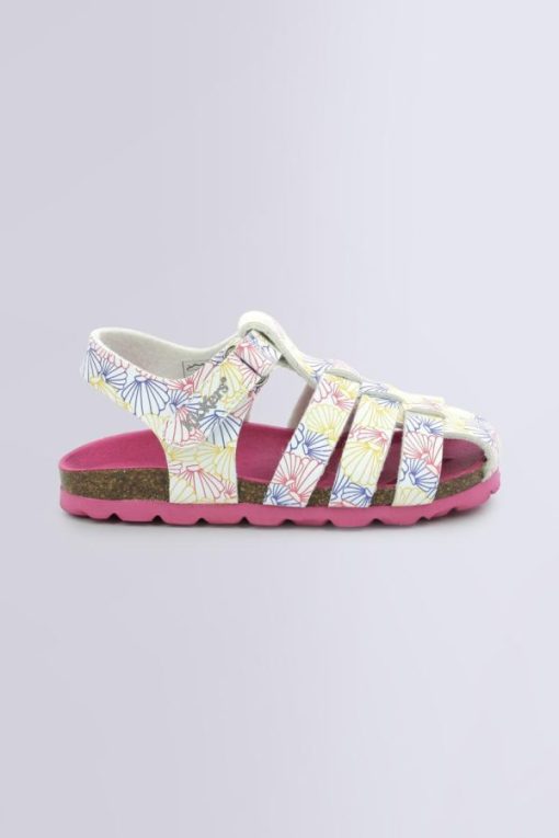 Ordercraze.shop227d13b568 2
