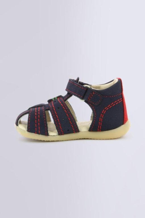 Ordercraze.shop2421e016a5 3