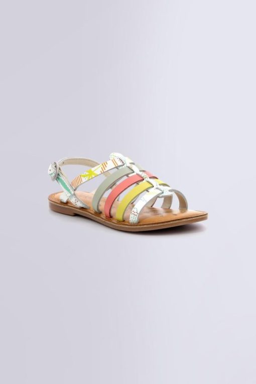 Ordercraze.shop281b2c7737 1