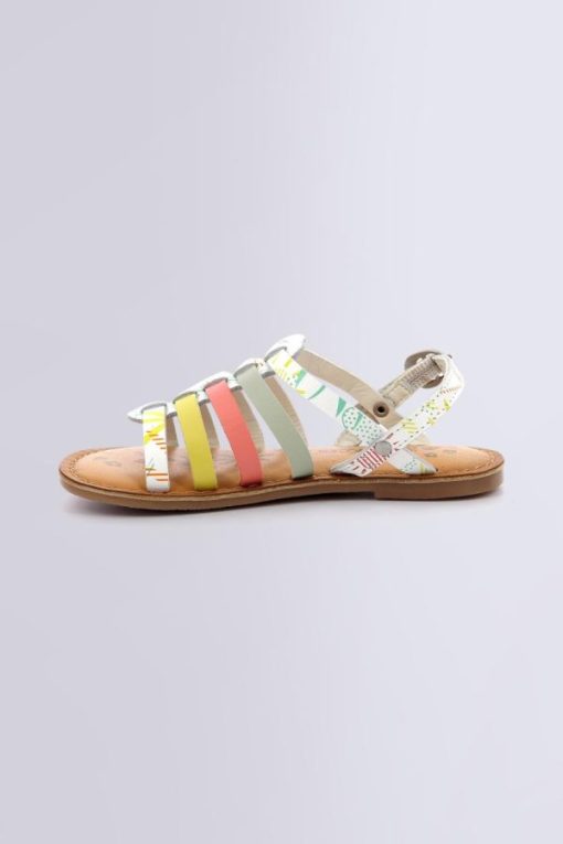 Ordercraze.shop281b2c7737 3