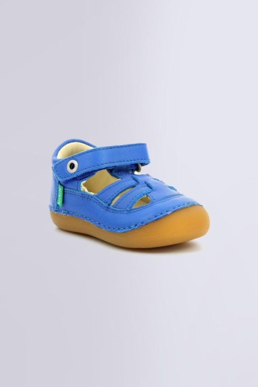 Ordercraze.shop291d54907d 1