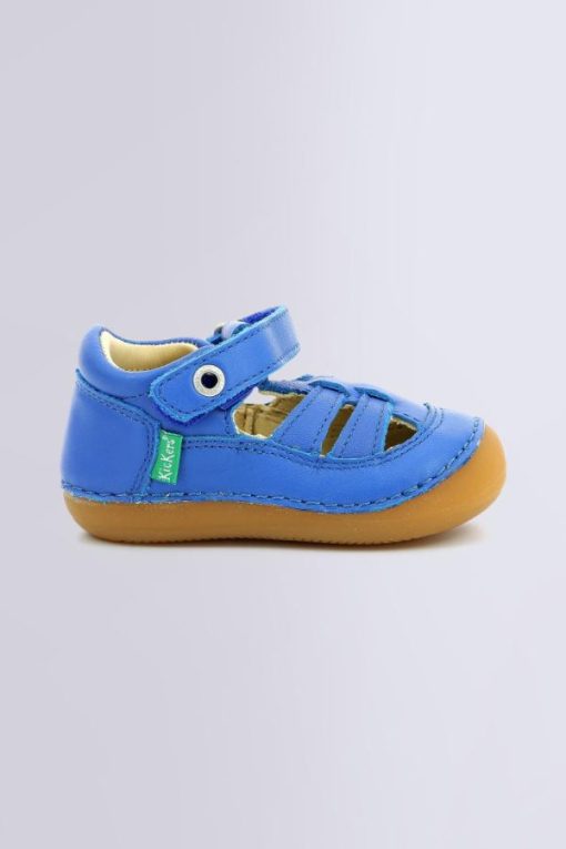 Ordercraze.shop291d54907d 2