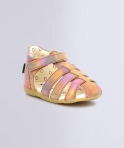 Ordercraze.shop293fec85e2 1