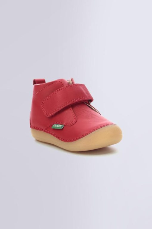 Ordercraze.shop29b8fe8f63 1