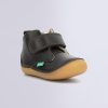 Ordercraze.shop2a6c7d954f 1