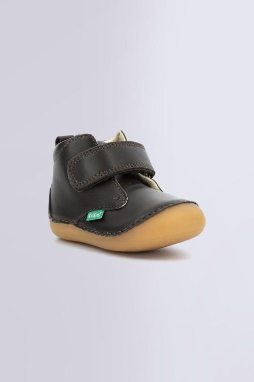Ordercraze.shop2a6c7d954f 1