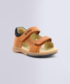 Ordercraze.shop2c213b9411 1