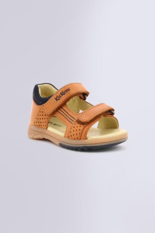 Ordercraze.shop2c213b9411 1