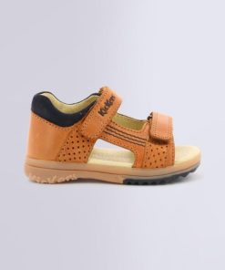 Ordercraze.shop2c213b9411 2