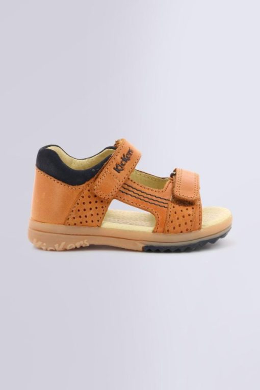 Ordercraze.shop2c213b9411 2