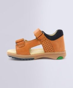 Ordercraze.shop2c213b9411 3