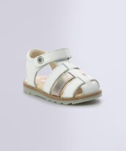 Ordercraze.shop2ca48f7878 1