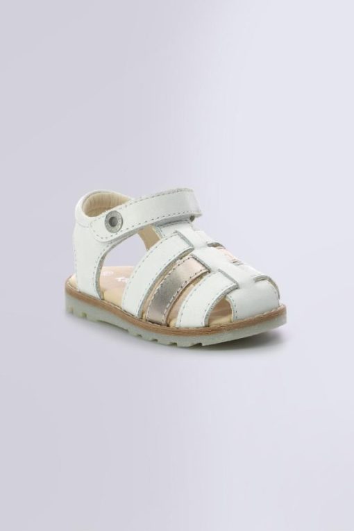 Ordercraze.shop2ca48f7878 1