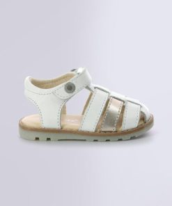 Ordercraze.shop2ca48f7878 2