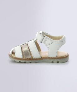 Ordercraze.shop2ca48f7878 3
