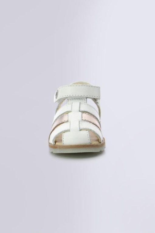 Ordercraze.shop2ca48f7878 4