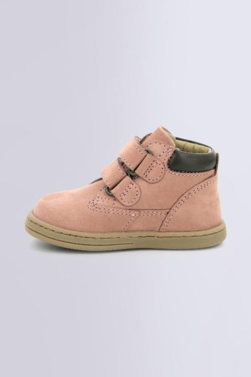 Ordercraze.shop307354dda1 3
