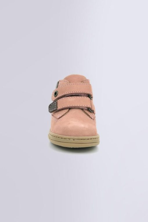 Ordercraze.shop307354dda1 4
