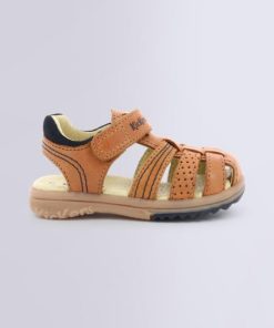 Ordercraze.shop327058e60c 2