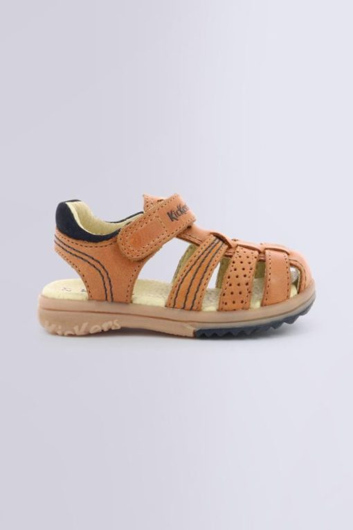 Ordercraze.shop327058e60c 2