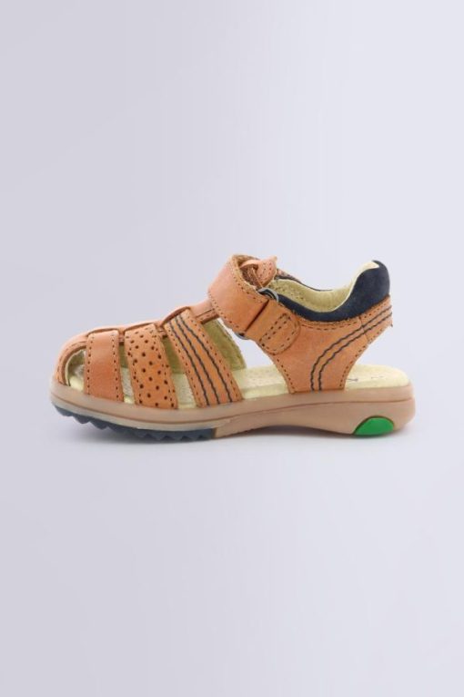 Ordercraze.shop327058e60c 3