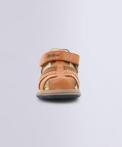 Ordercraze.shop327058e60c 4