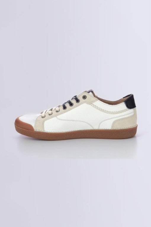 Ordercraze.shop331311a441 3