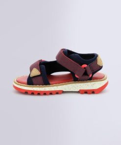 Ordercraze.shop39288ae2d3 3