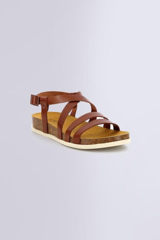 Ordercraze.shop39d4c4aa2a 1