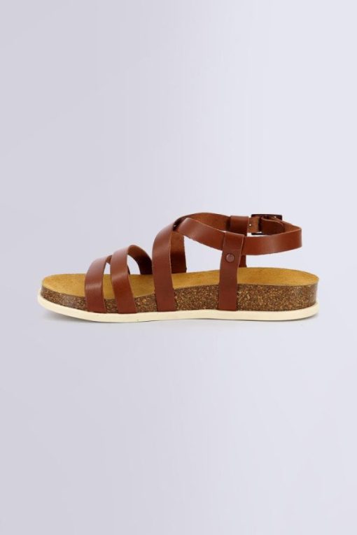 Ordercraze.shop39d4c4aa2a 3