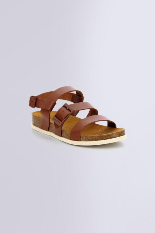 Ordercraze.shop3ac8d50f3d 1