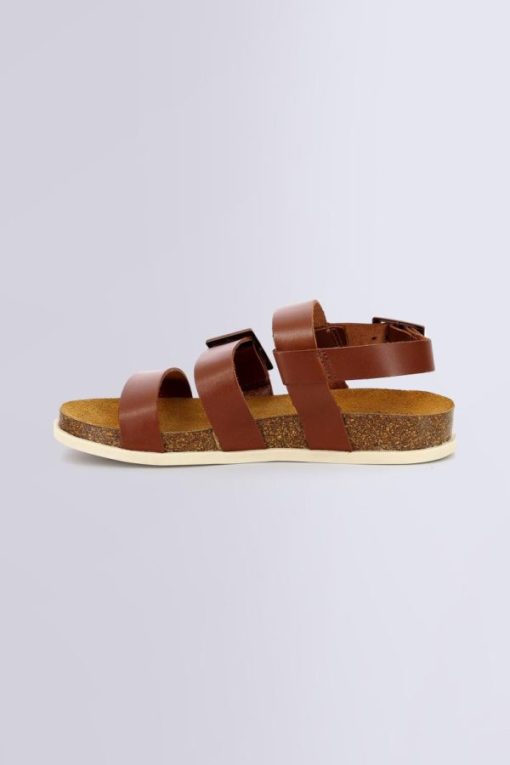Ordercraze.shop3ac8d50f3d 3