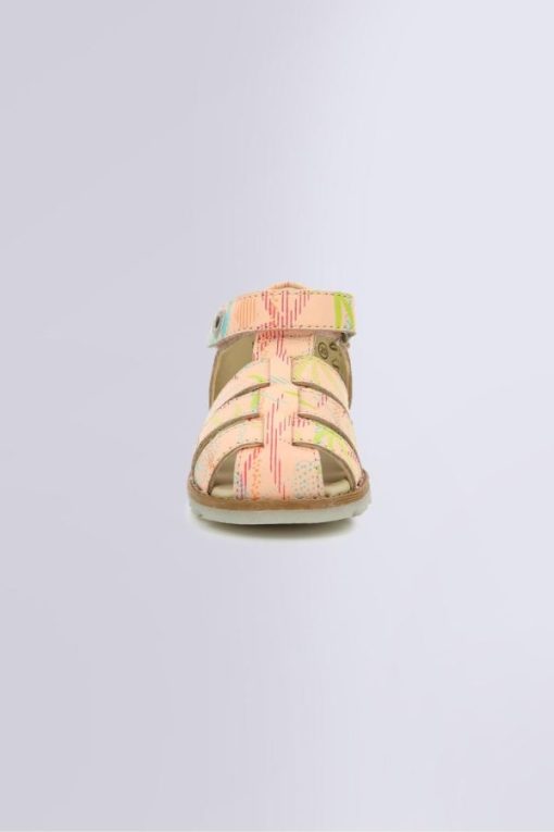 Ordercraze.shop3d86e8e72b 4