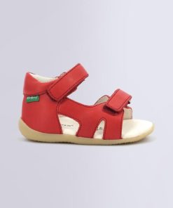 Ordercraze.shop413875c493 2