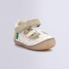 Ordercraze.shop413adf9db0 1