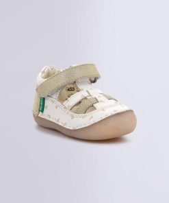 Ordercraze.shop413adf9db0 1