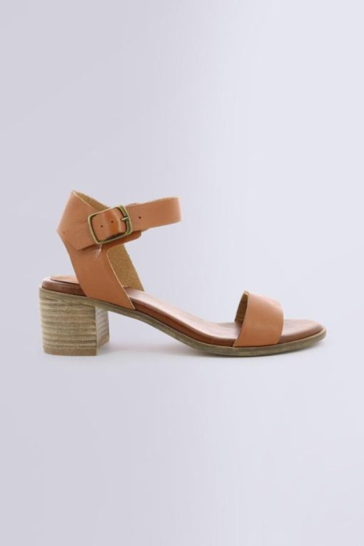 Ordercraze.shop441360131a 2