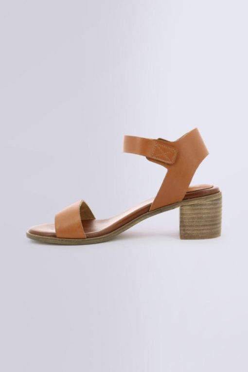Ordercraze.shop441360131a 3