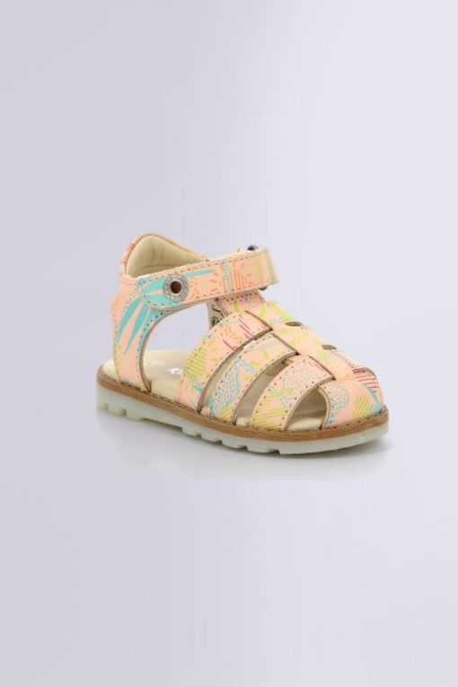 Ordercraze.shop444ba2e8b6 1