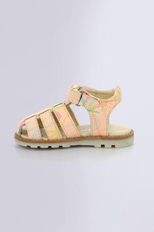 Ordercraze.shop444ba2e8b6 3