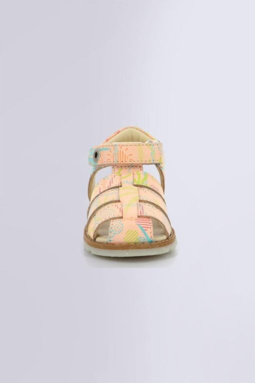 Ordercraze.shop444ba2e8b6 4