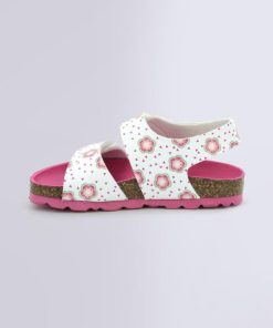Ordercraze.shop455ec6e1e7 3